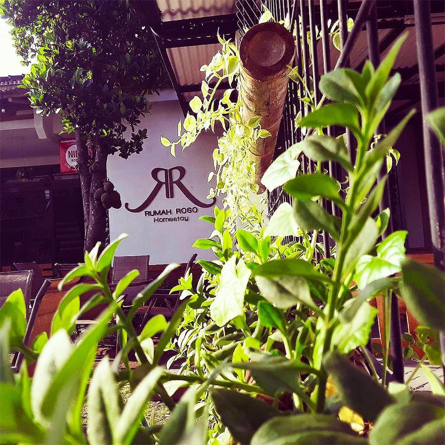 יוגיאקרטה Rumah Roso Homestay מראה חיצוני תמונה